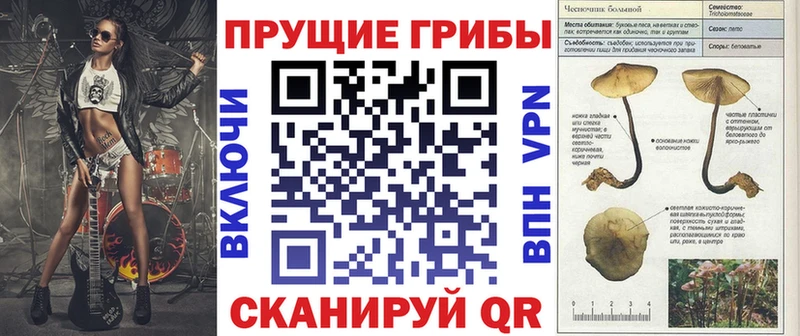 Галлюциногенные грибы мицелий  Купить закладки  Алзамай 