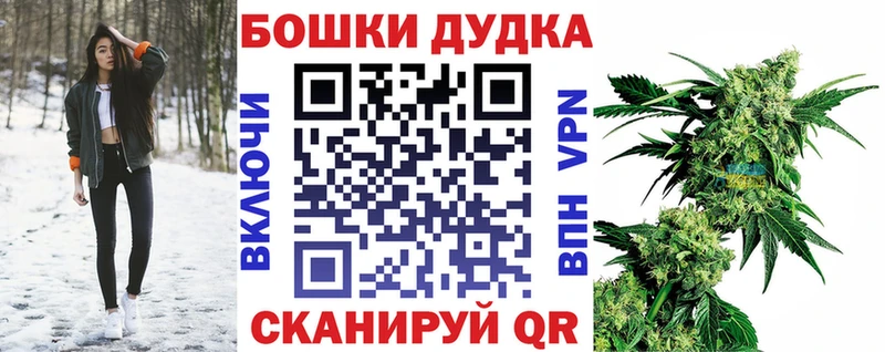 Купить где  Алзамай  Канабис планчик 